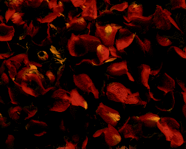 Nature001.png
